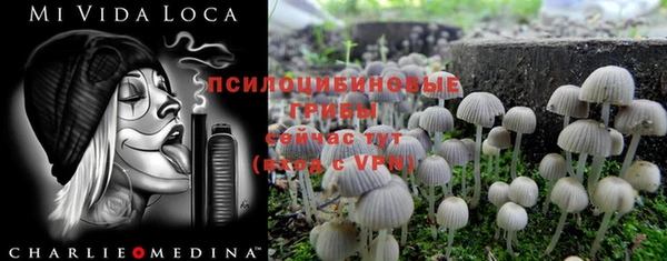 PSILOCYBIN Алексеевка